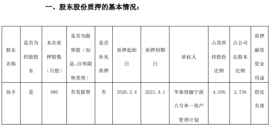 赛腾股份股东孙丰质押480万股用于偿还负债