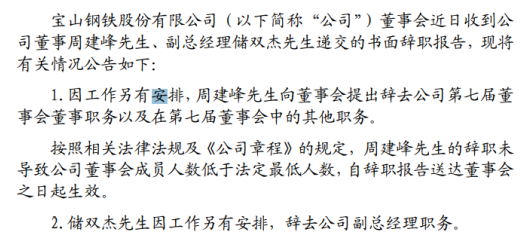 宝钢股份副总经理储双杰辞职 2019年薪酬为271.48万元