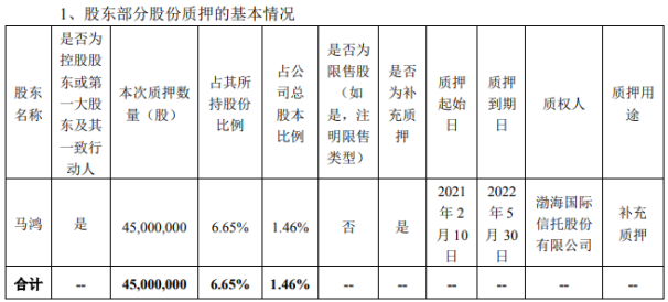 搜于特控股股东马鸿质押4500万股 用于补充质押