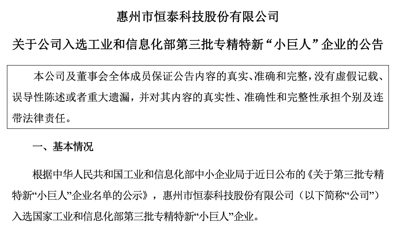 恒泰科技小巨人.png