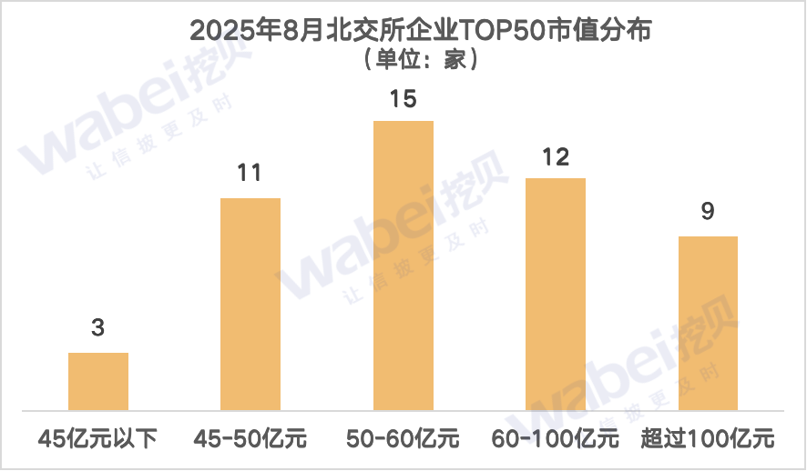 图1市值分布.png