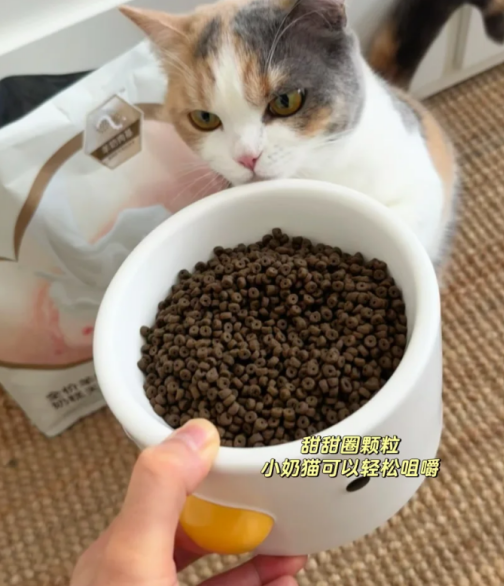 33639460e05ded311ae07f111676bde7.png
