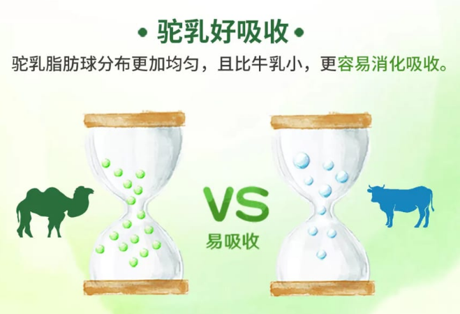 13c918ea-65f3-4c07-b231-d089db444461.png