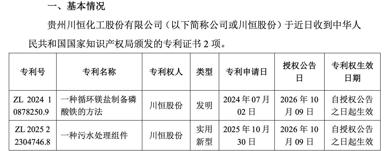 川恒股份专利情况.png