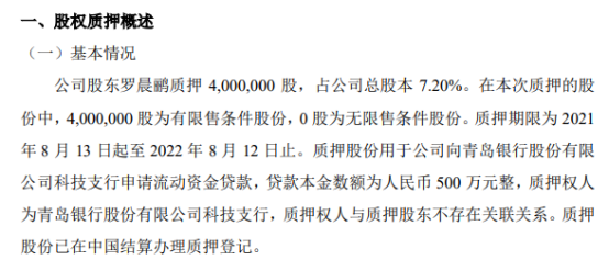 青鸟软通股东罗晨鹂质押400万股 用于申请流动资金贷款-企查查